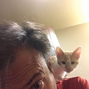 Meet your Posher, Joe